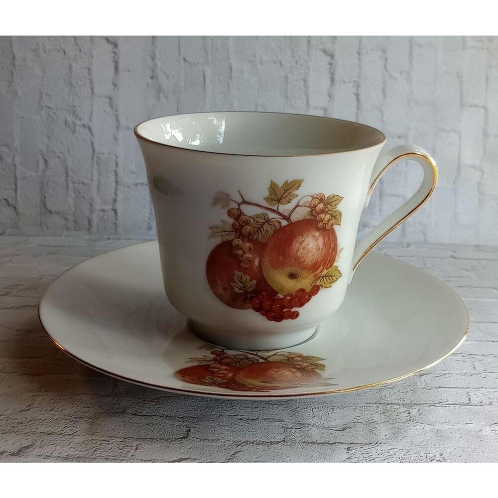 Bareuther Waldsassen Porcelain Tea Cup and Saucer Gold Trim Fruit Nuts